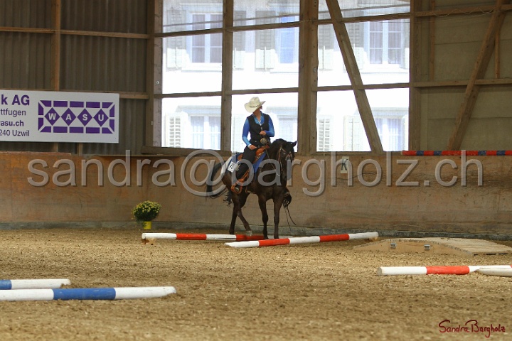 26-ApHC GT_138.jpg
